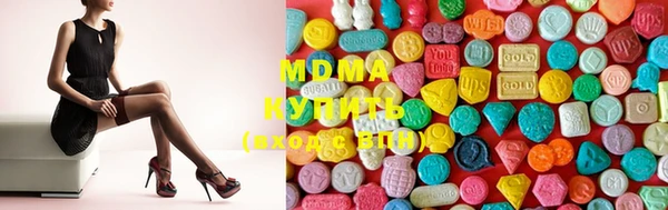 индика Дмитров