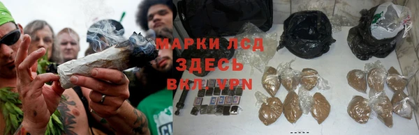 индика Дмитров