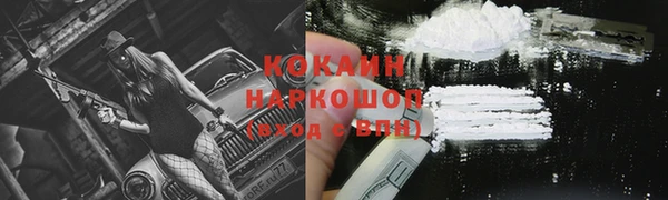 индика Дмитров