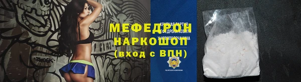 индика Дмитров