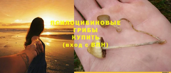mdpv Елабуга