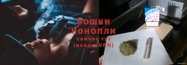 ПСИЛОЦИБИНОВЫЕ ГРИБЫ Ельня