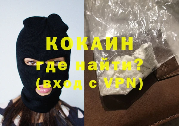 индика Дмитров