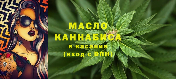 ПСИЛОЦИБИНОВЫЕ ГРИБЫ Ельня