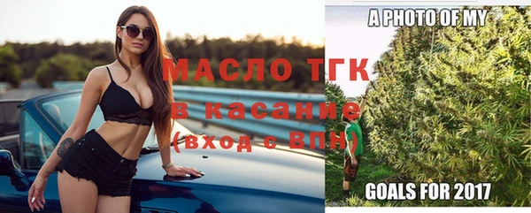индика Дмитров