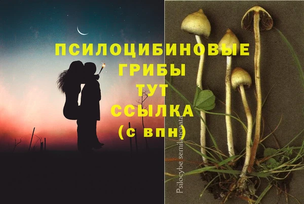 MESCALINE Покров