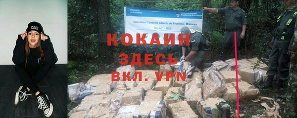 ПСИЛОЦИБИНОВЫЕ ГРИБЫ Ельня