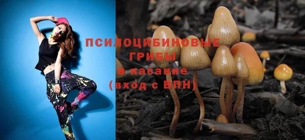 хмурый Елизово