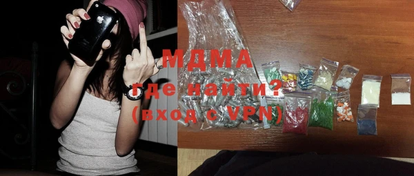 индика Дмитров