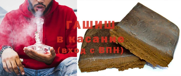 индика Дмитров