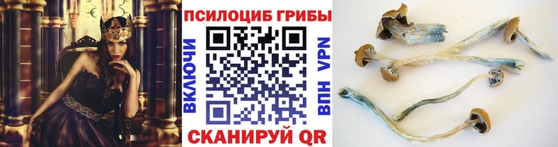 Купить закладки  Ипатово  Галлюциногенные грибы Magic Shrooms 